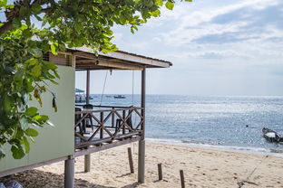 九游游戏中心官网-绿色场馆覆盖智能环保系统，推动全球体育绿色低碳行动，绿色场馆建设